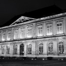 Le Havre - Musée d'histoire naturelle
