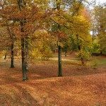 Montauban – Le site haut (4)