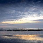 Le Havre – Le vieil homme et le chien
