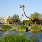 Le Havre – Les volailles (suite)